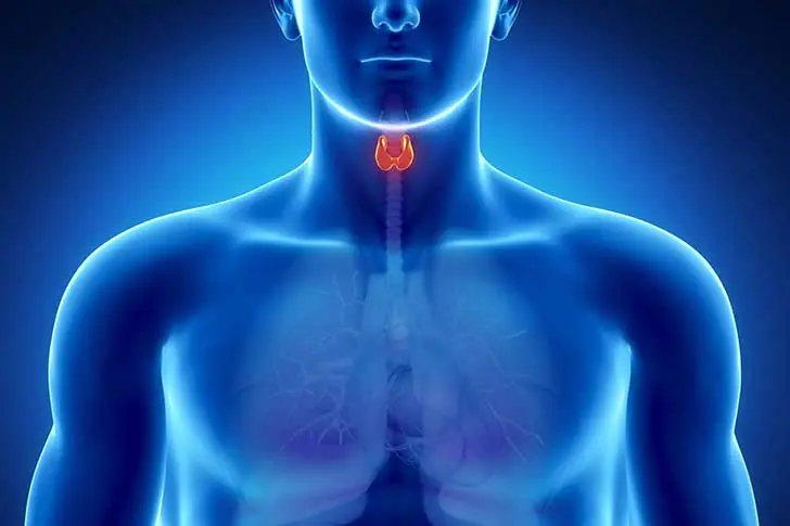 14 órganos y partes del cuerpo que no necesitas para vivir.