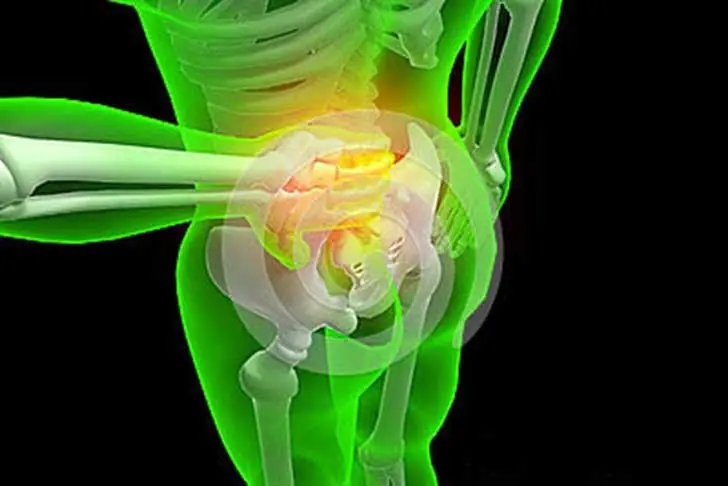 partes del cuerpo