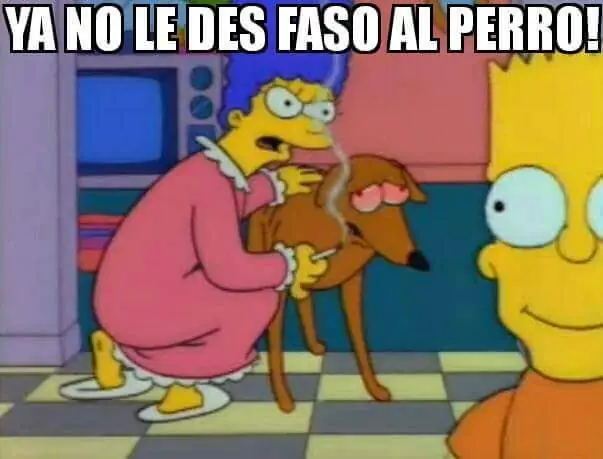 recopilacion