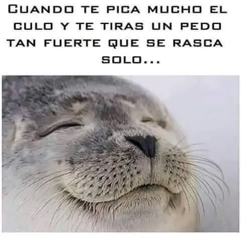 lince