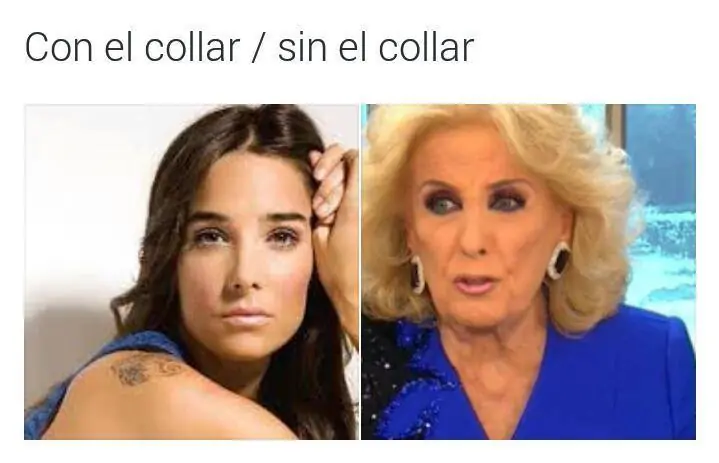 gifs