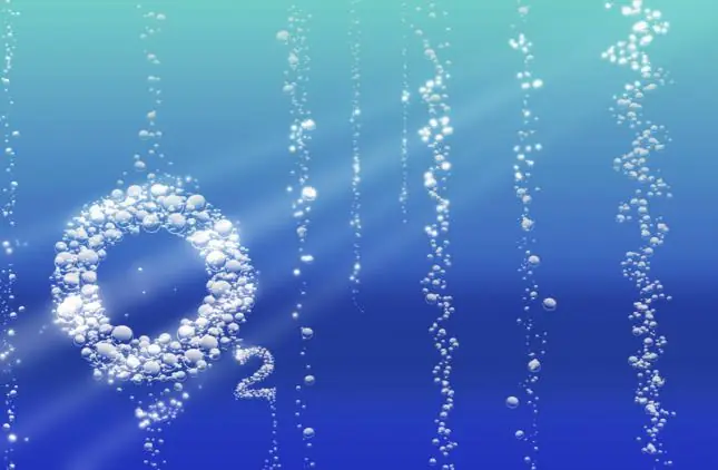 15 increíbles datos sobre el funcionamiento del cerebro