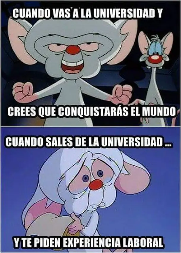 taringuero promedio virgen nivel 5