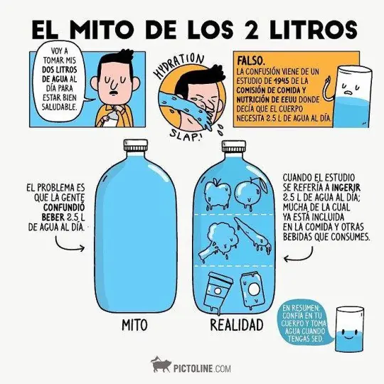 taringuero promedio virgen nivel 5