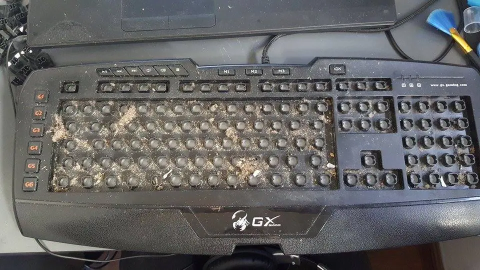 Limpie mi teclado y te lo muestro paso a paso