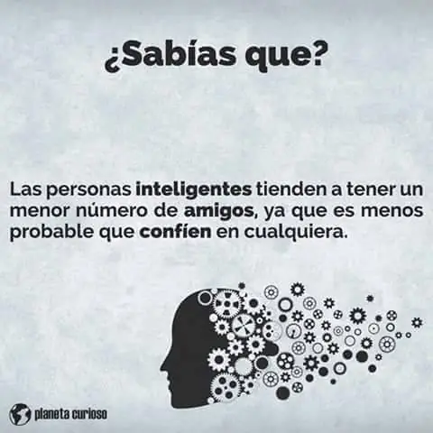 nuevos