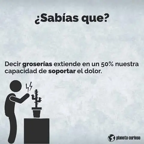 sabas que