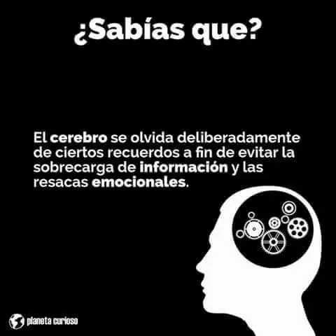 puedes