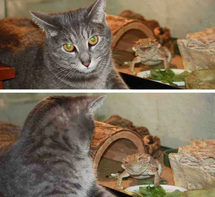 pasar el rato
