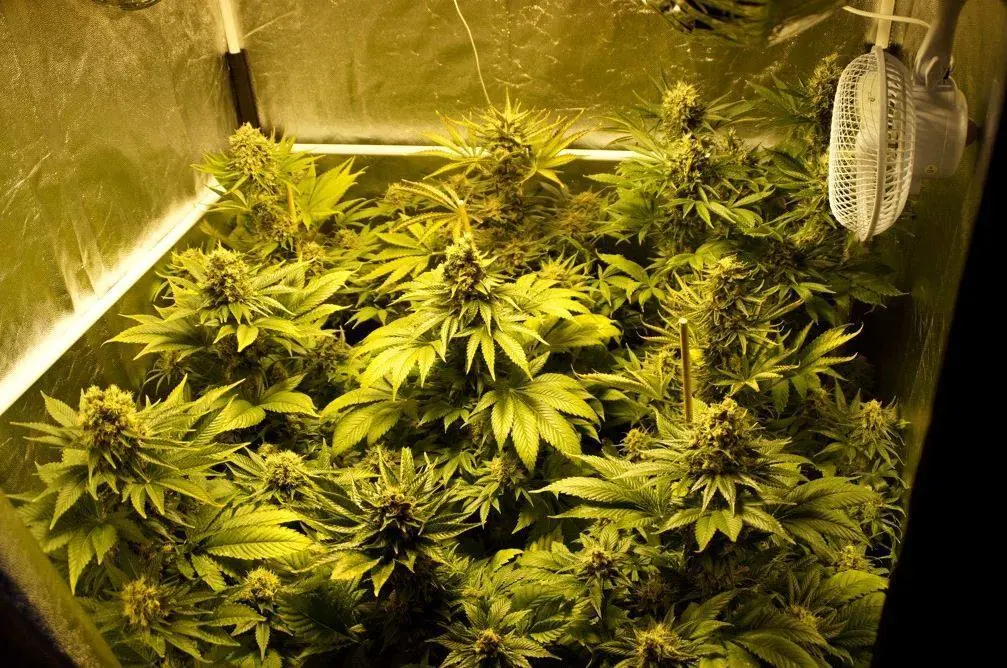 indoor