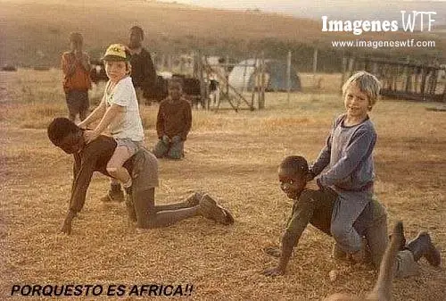 denunica