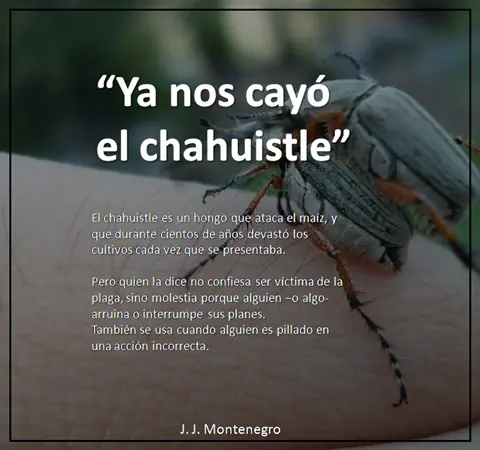 Frases explicadas para entender la jerga mexicana