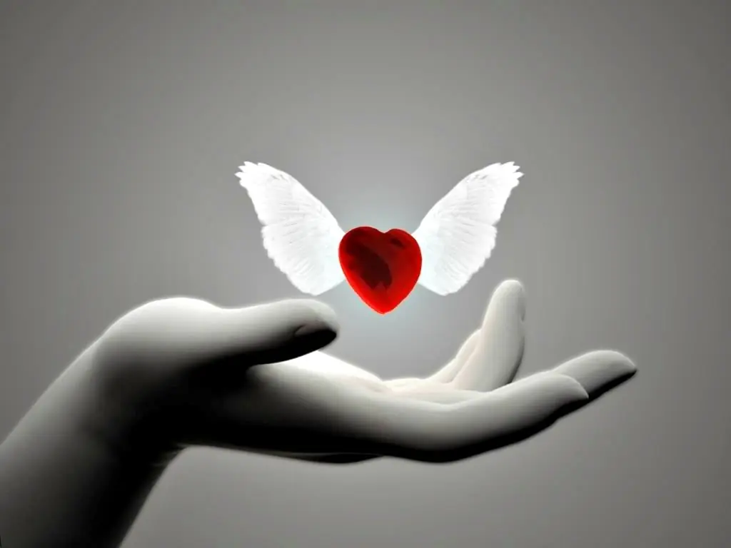 amor