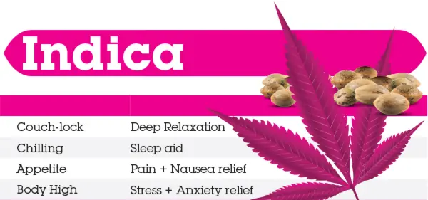 legalizacion