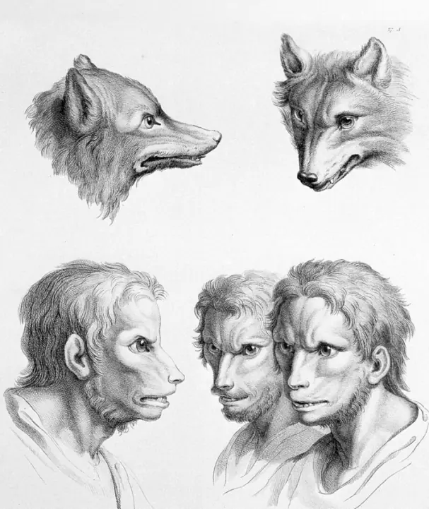 ¿Qué aspecto tendríamos si descendiéramos de estos animales?