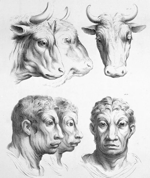 retrato