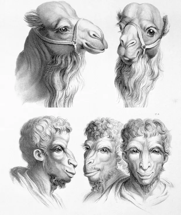 genetica