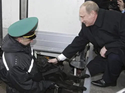 putin putin