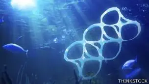 ecologia ecologia