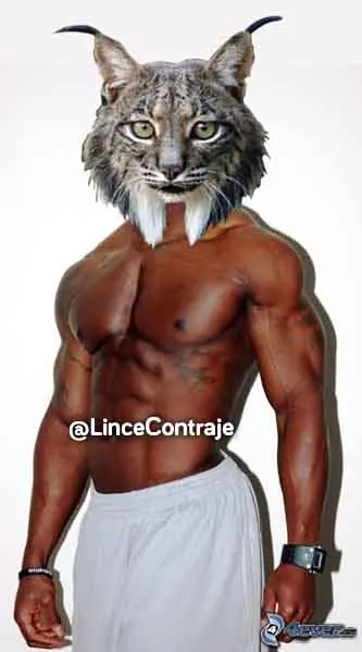 abdominales