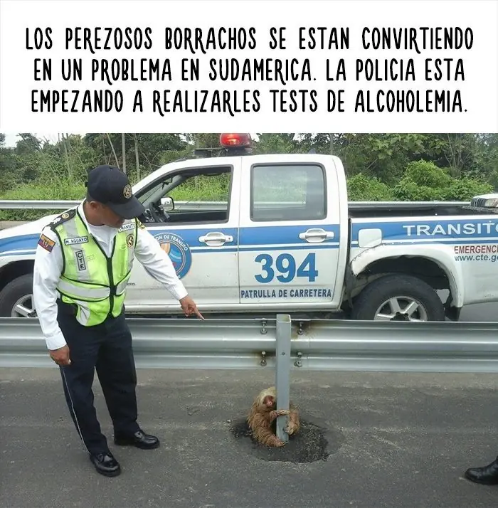 Datos increíbles de animales