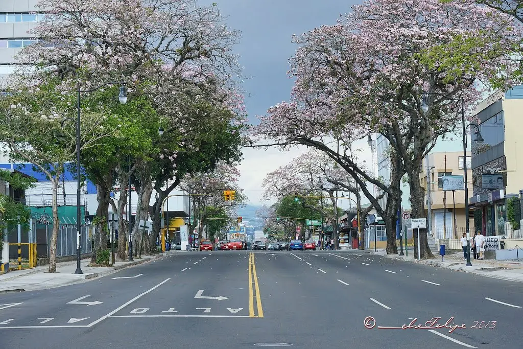 Curiosidades de Costa Rica (2015)
