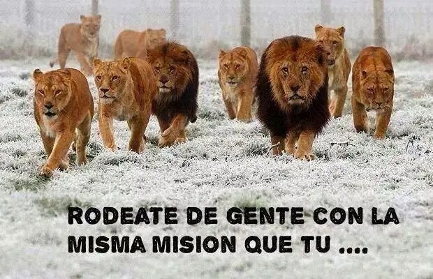 Si sos mediocre, este post no te va a gustar