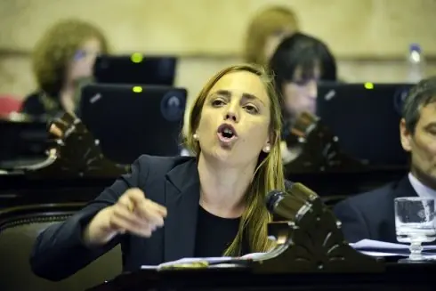 Diputada del FpV presentó proyecto: registro de no nacidos