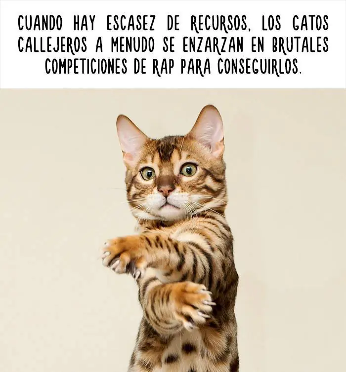 Datos increíbles de animales