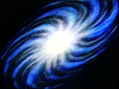elefantes