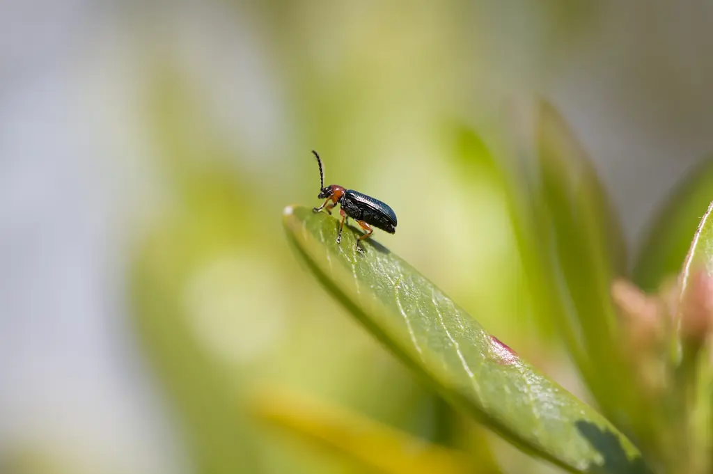 Un hardware bioinspirado en insectos mejora las narices elec