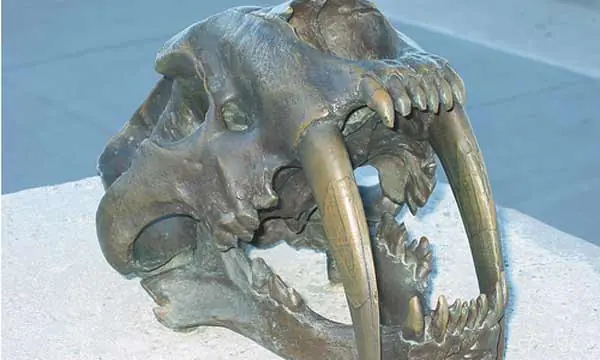 hidrocarburos