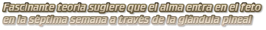 Fascinante teoría sobre la entrada del alma en el feto