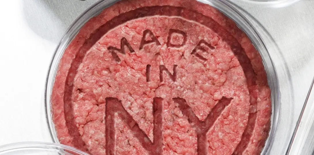 25 usos inteligentes e innovadores de las impresoras 3D