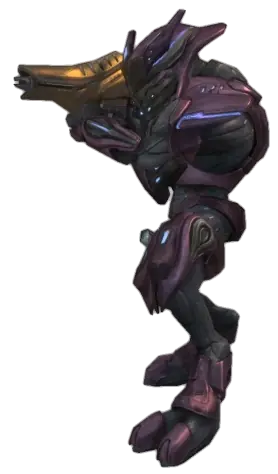 rangos