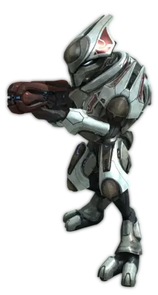 rangos