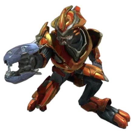 sangheili