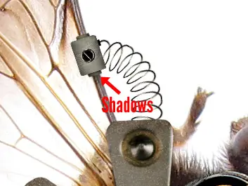 Entrá, y te enseño a manipular una foto #14