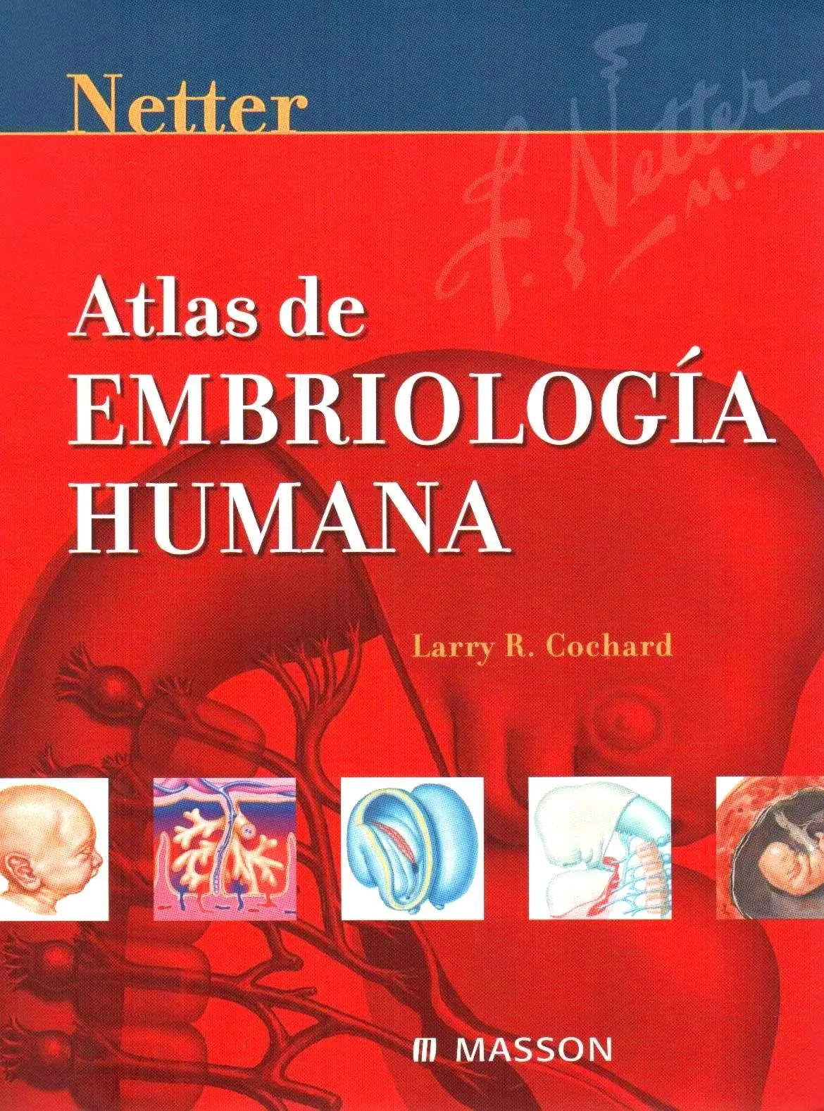 embriologia