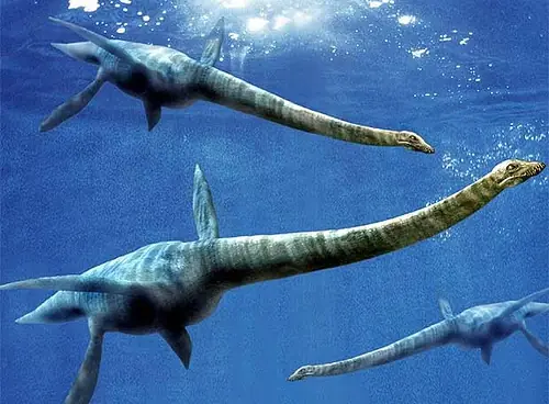 el plesiosaurio muerto encontrado por un buque japones