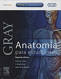 anatomia