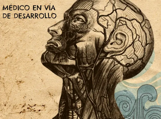 Libros de Medicina (Primer Año)