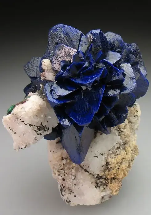 minerales