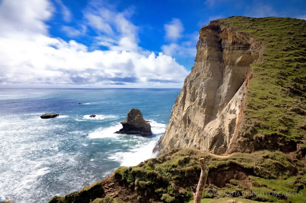 Chiloe