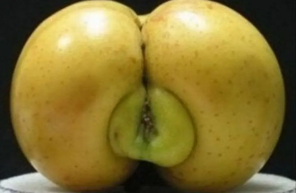 mujeres sexy