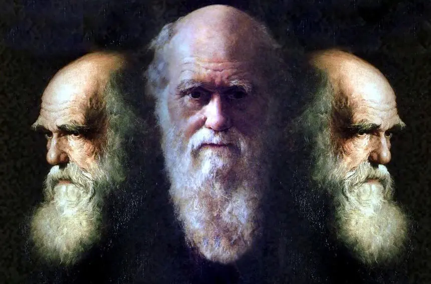"MACHO competitivo, HEMBRA selectiva" El Darwiniano