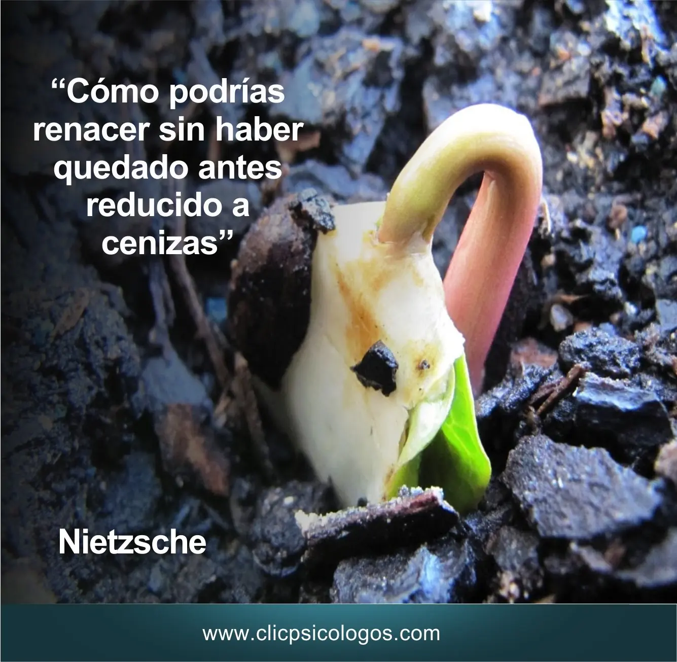 si esto no te motiva, ya nada lo hara