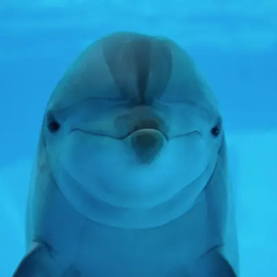 santiago del estero style