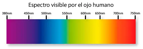 ciencia