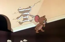 el gato so vo